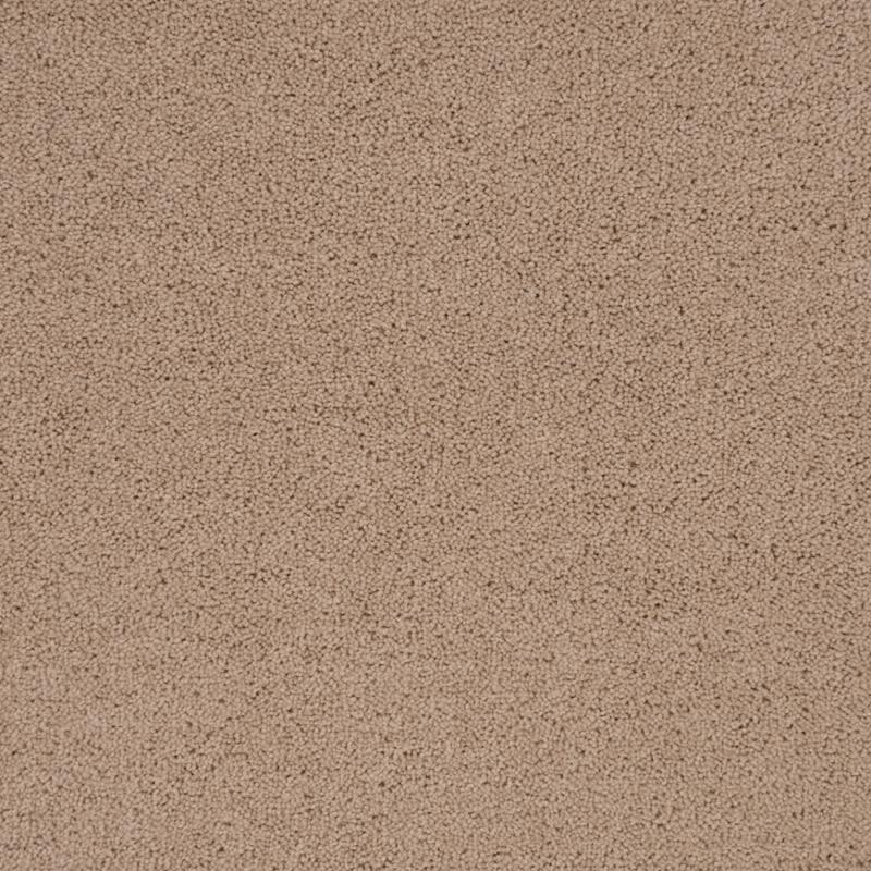 Penthouse Carpets Pentwist Colours 50oz Naturals Cashew Carpet