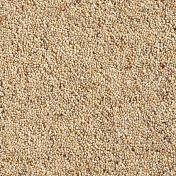 Cavalier Carpets Country Collection Village Custard Cream Carpet