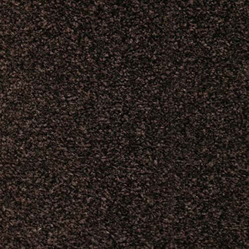 Easy Living 2020 Charcoal Carpet
