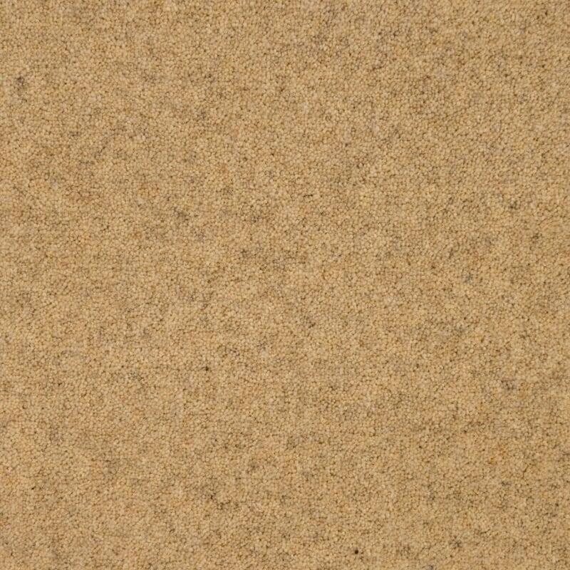 Penthouse Carpets Springtime 40oz Cheviot Carpet