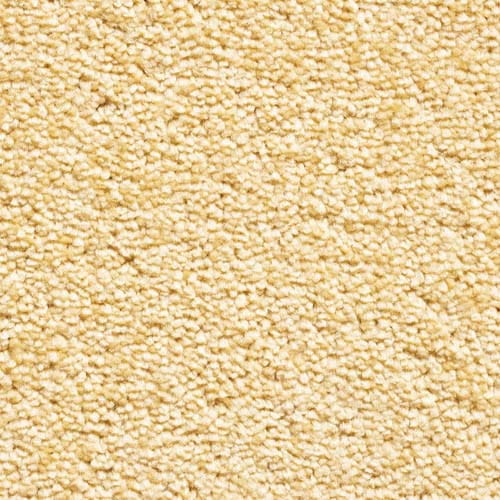 Invicta 2020 Citrus Carpet