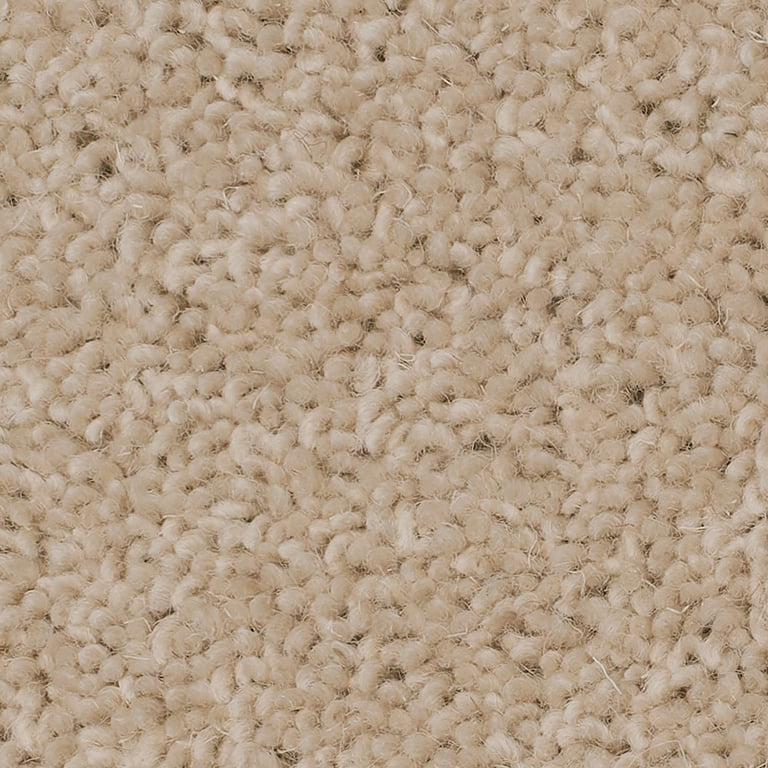 Causeway Carpets City Twist 40oz Grain 01 Carpet