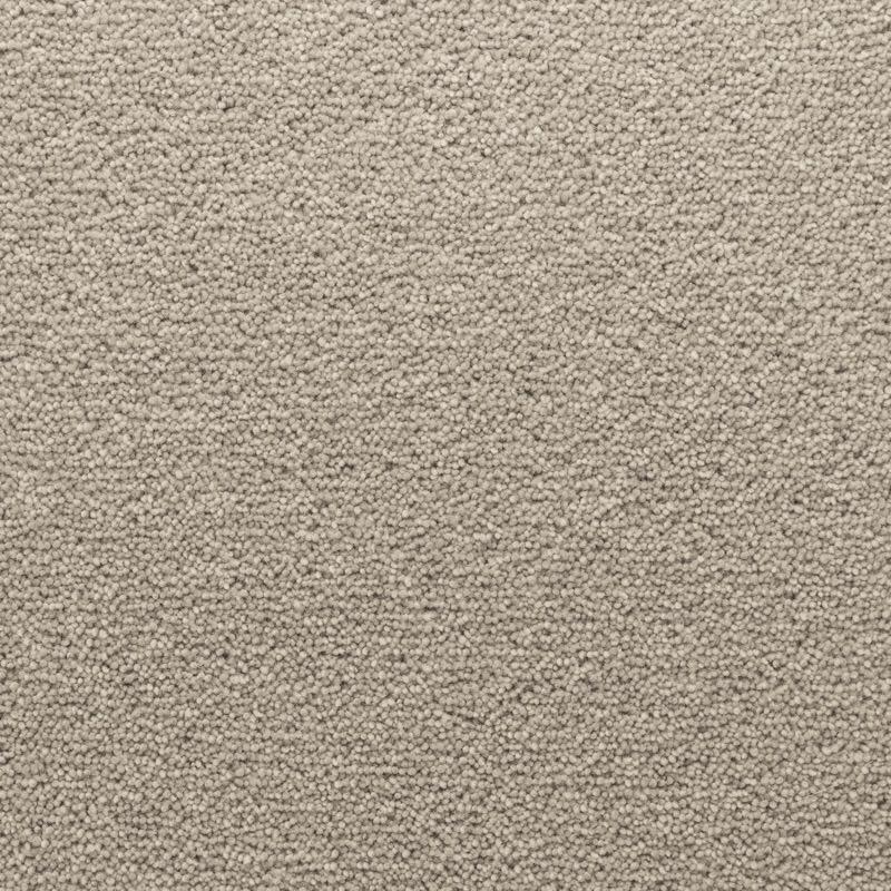Penthouse Carpets Stateside 50oz Columbus Carpet