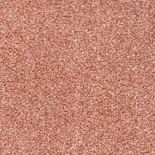 Phoenix Coral Carpet
