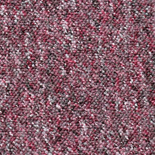 Megastar Damson Carpet