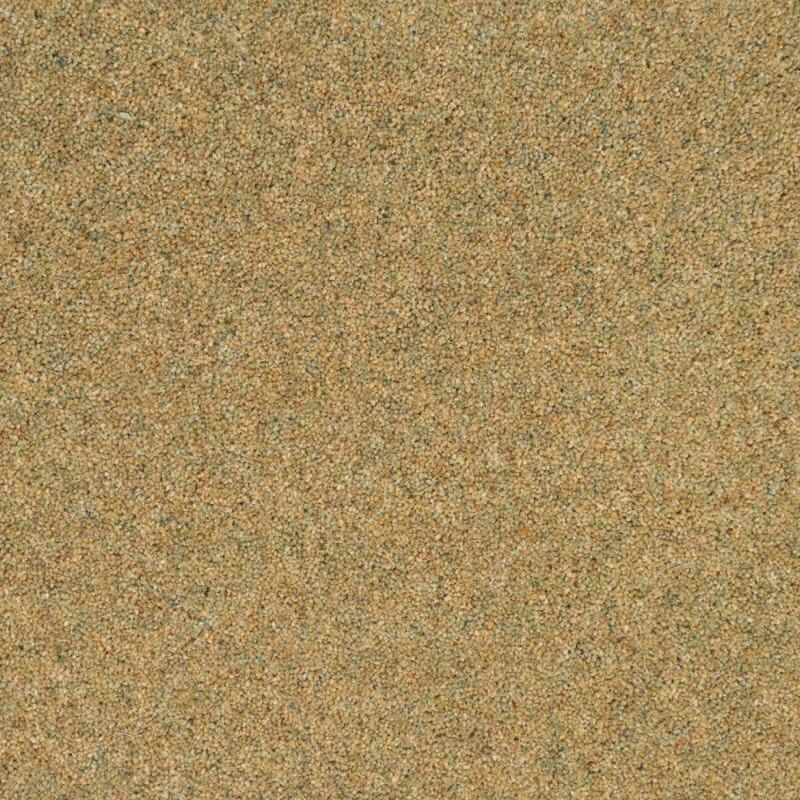 Penthouse Carpets Vermont 50oz Denver Carpet