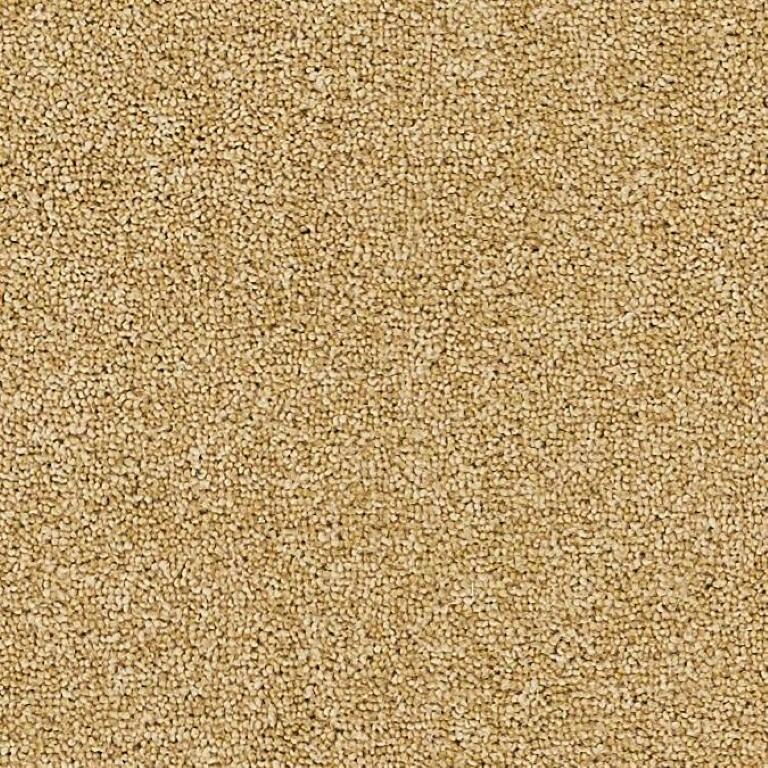 Brockway Carpets Dimensions Plain 40 Butterscotch Carpet
