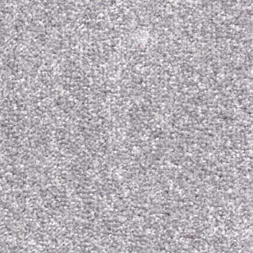 Spotlight Dove Carpet