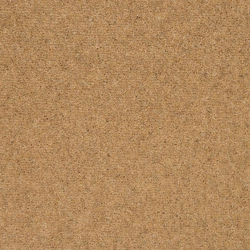 Penthouse Carpets Shoreline 40oz Dune Carpet