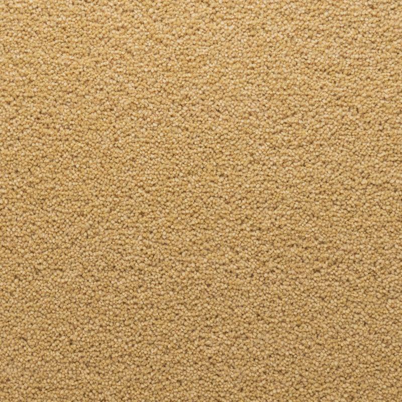 Penthouse Carpets Stateside 40oz Ellis Carpet