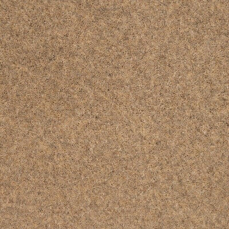 Penthouse Carpets Springtime 50oz Exmoor Carpet