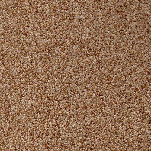 Amalfi 2018 Fudge Carpet