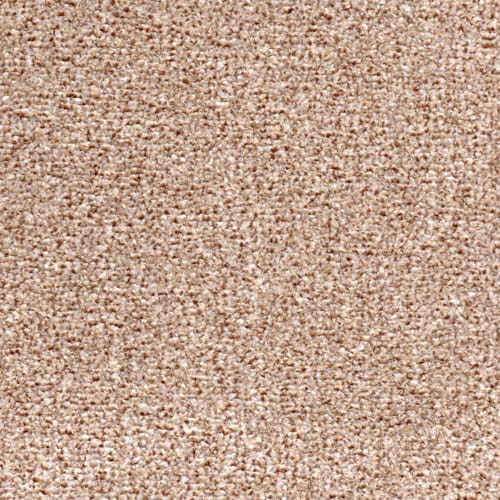 Long Island Fudge Carpet