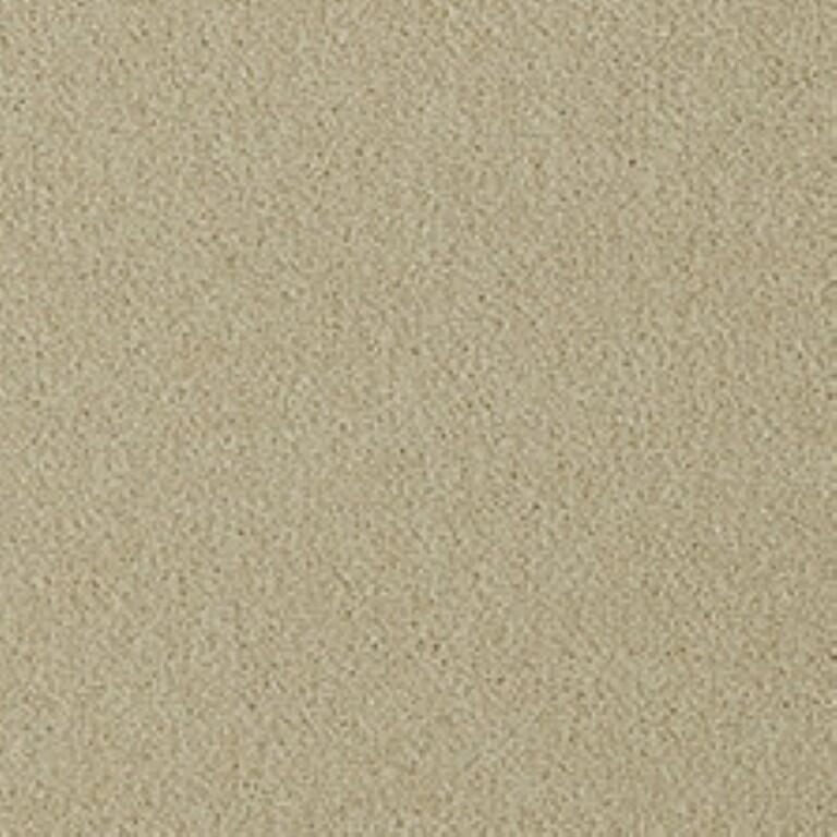 Westex Fine Twist Cooksey Calico Carpet
