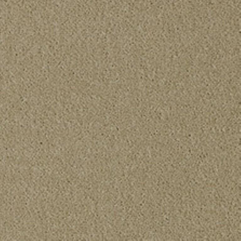 Westex Fine Twist Cowleigh Cane Carpet