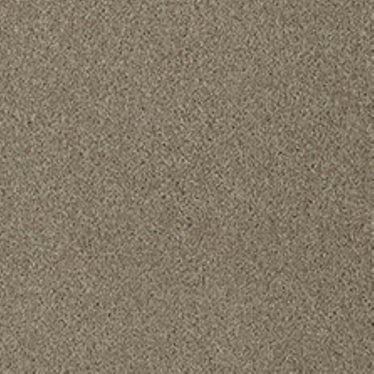 Westex Fine Twist Flyford Flax Carpet