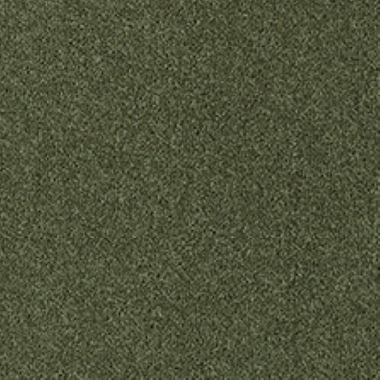 Westex Fine Twist Ombersley Olive Carpet