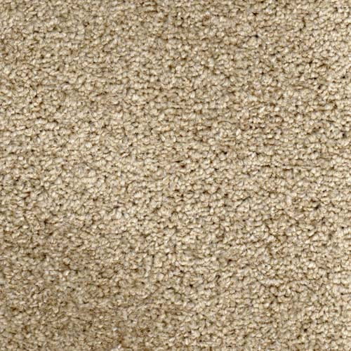 Newport Harvest Carpet