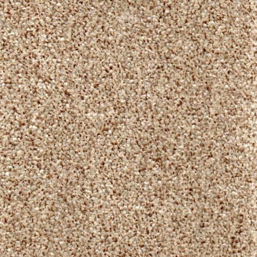 Modern Living Harvest Carpet
