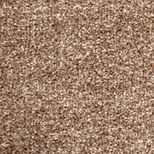 Lyon 2019 Harvest Carpet