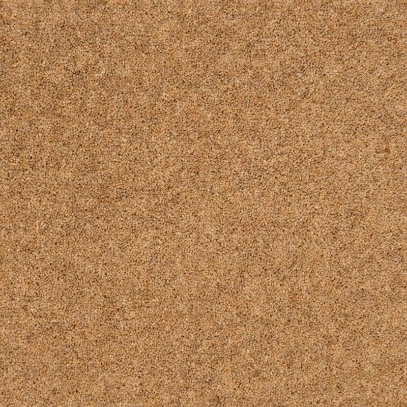Penthouse Carpets Springtime 50oz Herdwick Carpet