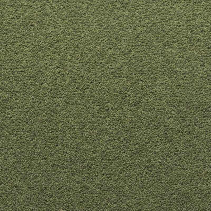 Penthouse Carpets Stateside 50oz Houston Carpet