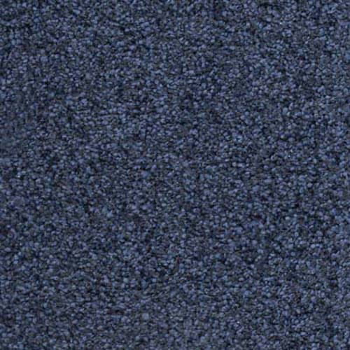New Pier Twist 2026 Ink Carpet