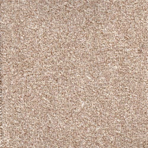 Royal Prestige 2024 Latte Carpet
