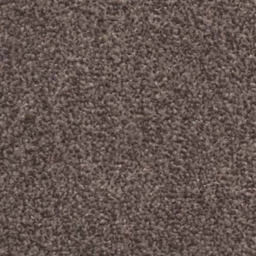 Splendour Latte Carpet