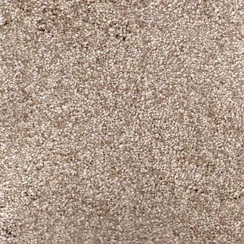 Silk Feelings Latte Carpet