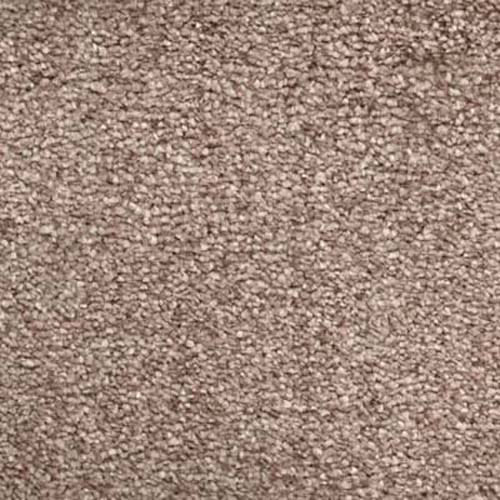 Harrogate Latte Carpet