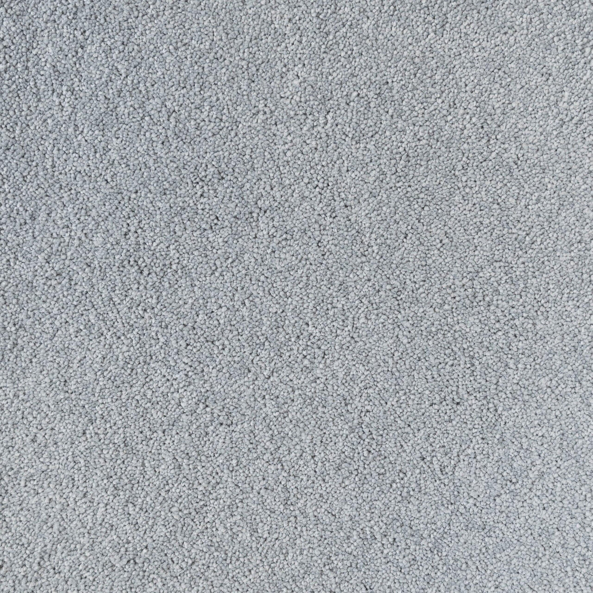 Penthouse Carpets Amorosa Style Carpet
