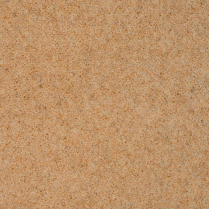 Penthouse Carpets Vermont 60oz Memphis Carpet