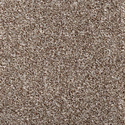 Royal Prestige 2024 Mink Carpet