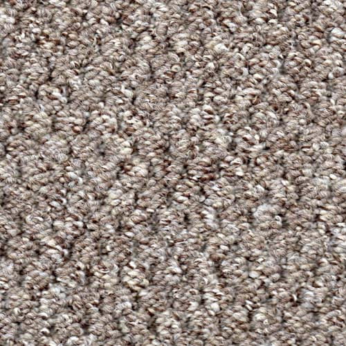 Homestyle Moccha Carpet