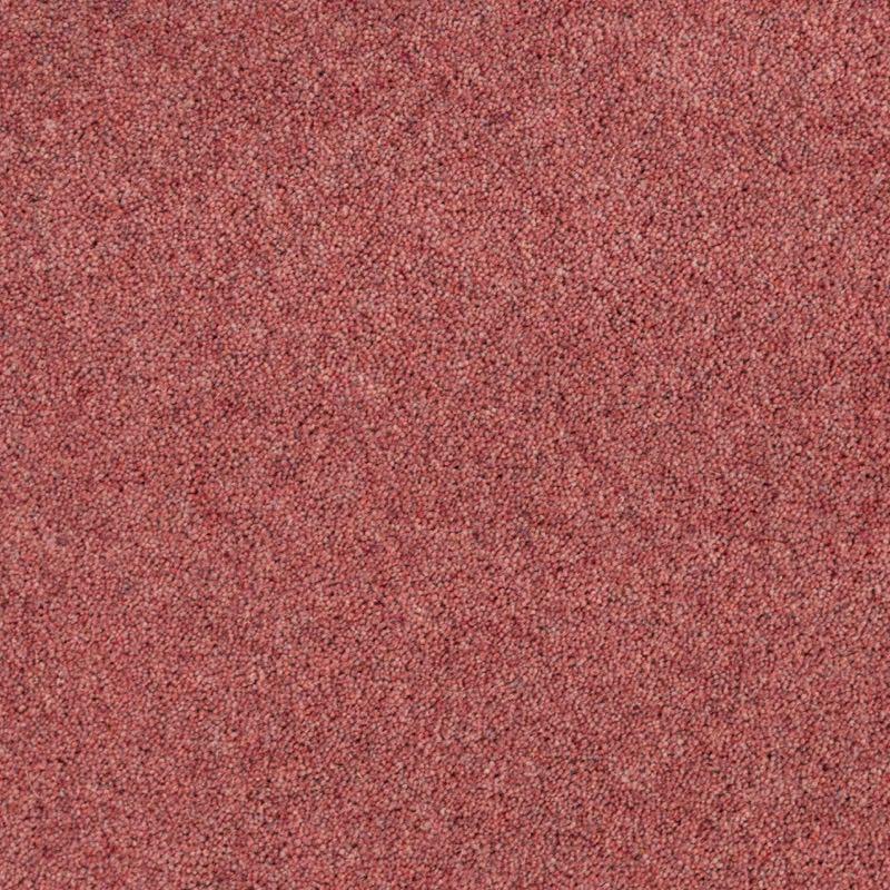 Penthouse Carpets Pentwist Colours 50oz Morello Carpet