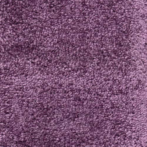 Invicta 2020 Mulberry Carpet