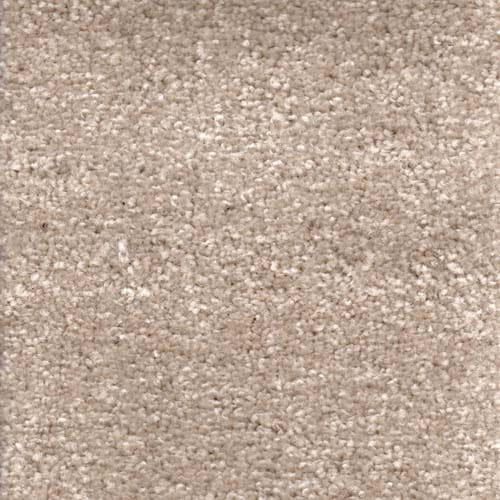 Invicta 2020 Mushroom Carpet