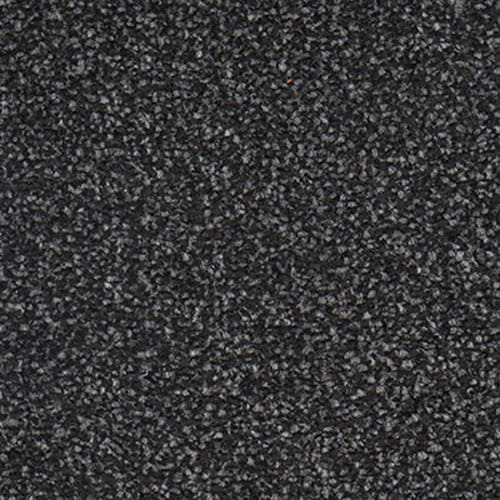 Vilamoura 2024 Noir Carpet