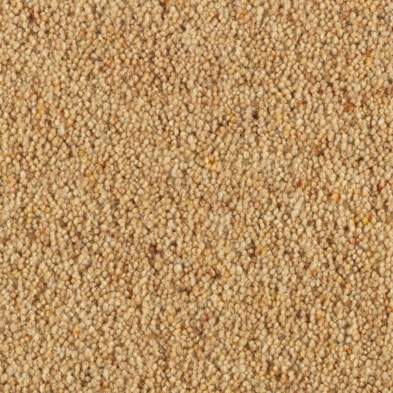 Penthouse Carpets Carlton 36oz Organza Carpet