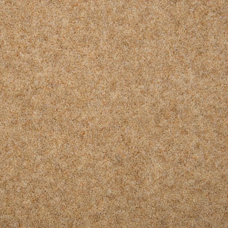 Penthouse Carpets Esprit Nouveau 50oz Pegasus Carpet