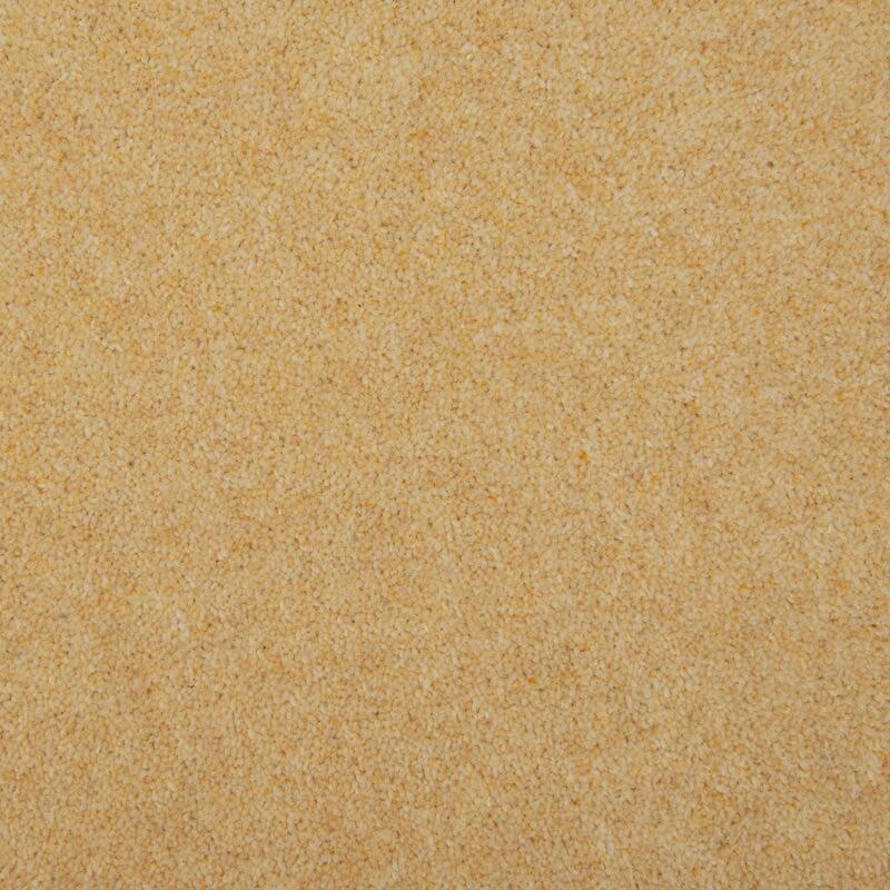 Penthouse Carpets Esprit Nouveau 60oz Curlew Carpet