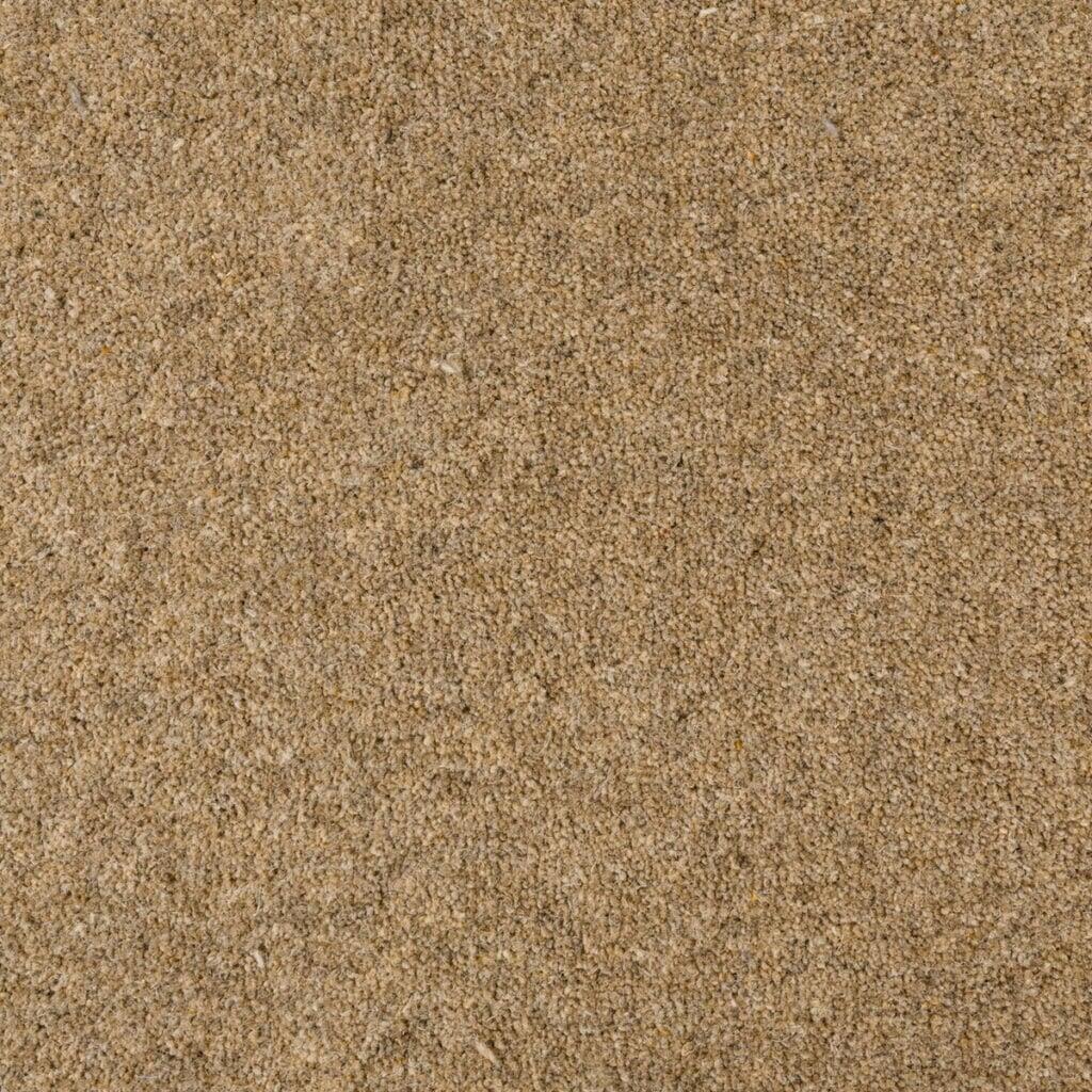 Penthouse Carpets Seasons Autumn Carpet