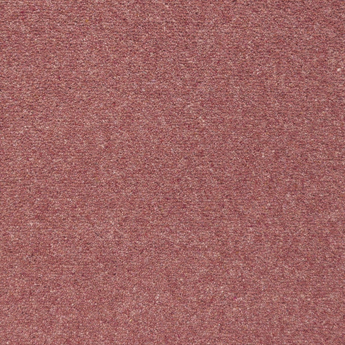 Penthouse Carpets Shoreline 50oz Coral Carpet
