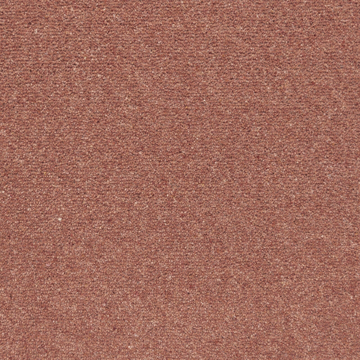 Penthouse Carpets Shoreline 40oz Horizon Carpet