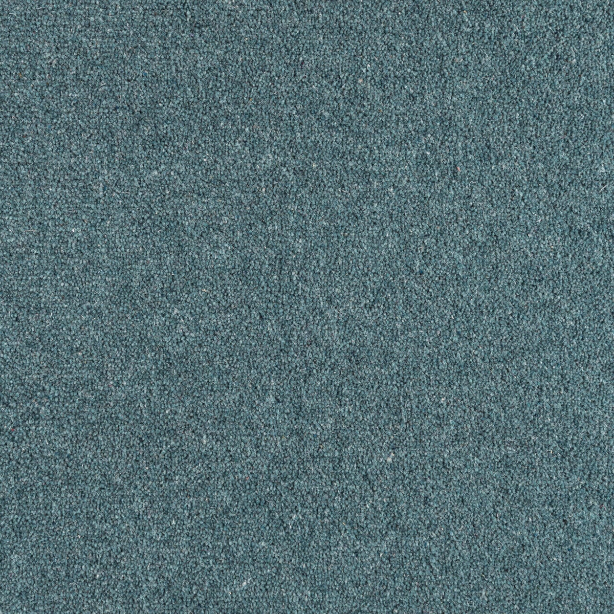 Penthouse Carpets Shoreline 50oz Marina Carpet
