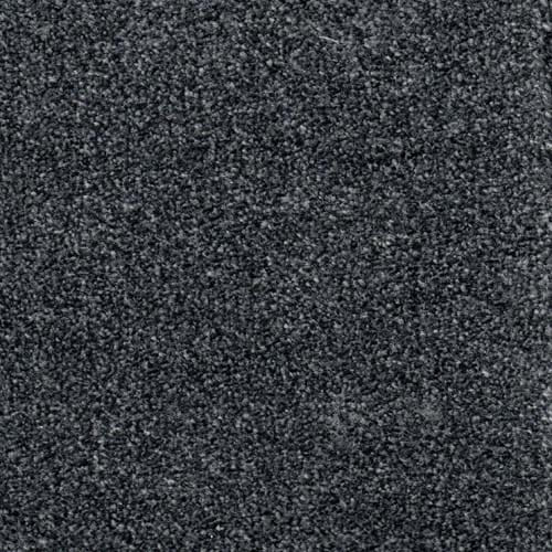 Royal Prestige 2024 Pewter Carpet