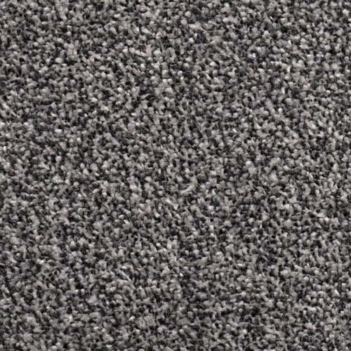 Hong Kong 2024 Pewter Carpet