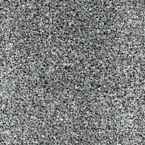 Modern Living Platinum Carpet