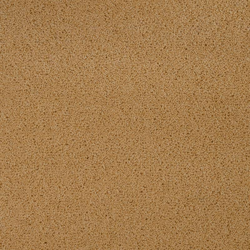 Penthouse Carpets Pentwist Colours 40oz Sandcastle Carpet